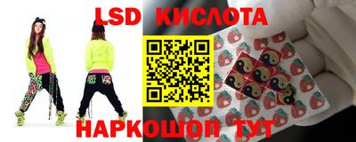 прущие грибы Пугачёв