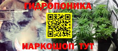 прущие грибы Пугачёв