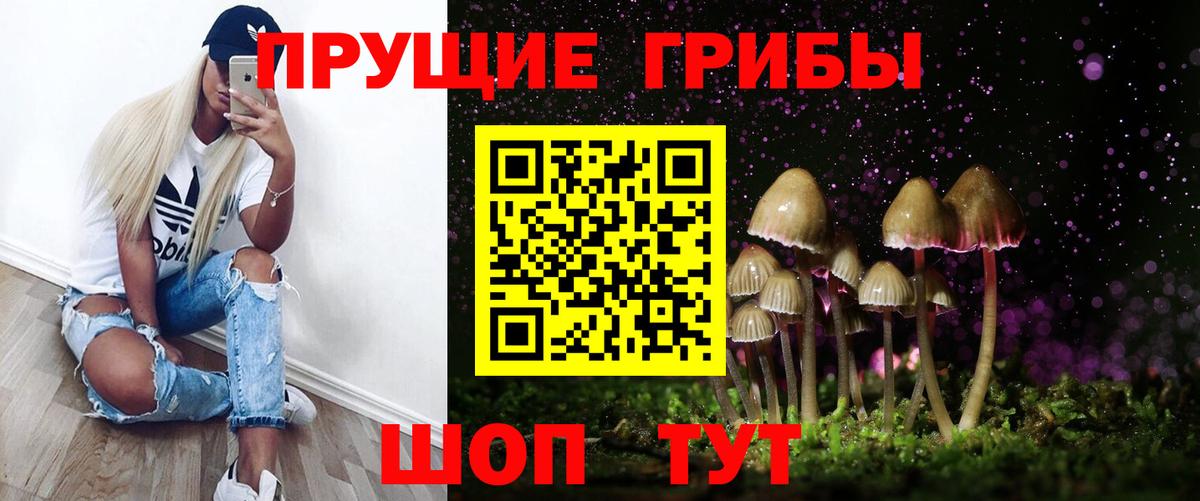 Галлюциногенные грибы Cubensis  Вход с VPN  Сафоново 